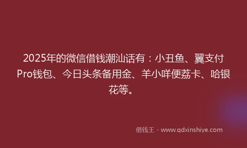 2025年的微信借钱潮汕话有：小丑鱼、翼支付Pro钱包、今日头条备用金、羊小咩便荔卡、哈银花等。