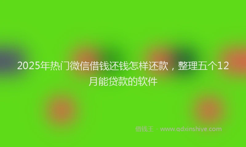 2025年热门微信借钱还钱怎样还款，整理五个12月能贷款的软件