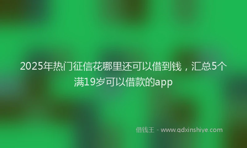 2025年热门征信花哪里还可以借到钱，汇总5个满19岁可以借款的app