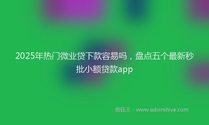 2025年热门微业贷下款容易吗，盘点五个最新秒批小额贷款app