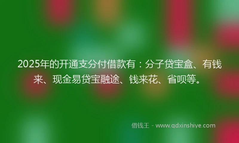 2025年的开通支分付借款有：分子贷宝盒、有钱来、现金易贷宝融途、钱来花、省呗等。