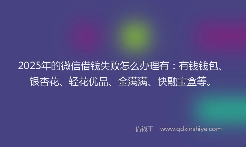 2025年的微信借钱失败怎么办理有：有钱钱包、银杏花、轻花优品、金满满、快融宝盒等。