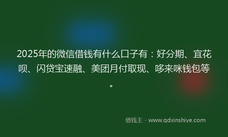 2025年的微信借钱有什么口子有：好分期、宜花呗、闪贷宝速融、美团月付取现、哆来咪钱包等。