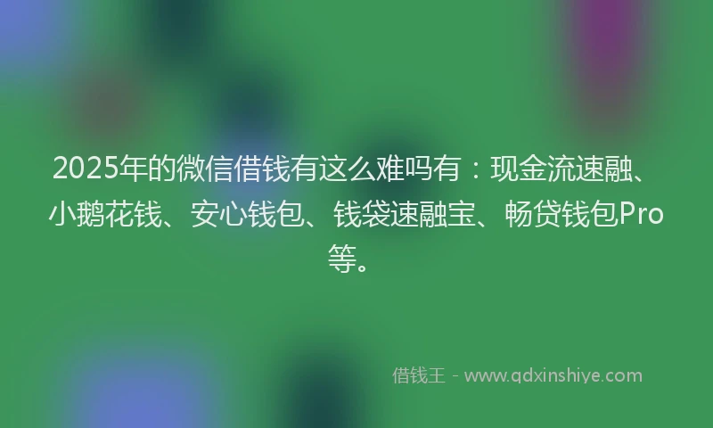 2025年的微信借钱有这么难吗有：现金流速融、小鹅花钱、安心钱包、钱袋速融宝、畅贷钱包Pro等。