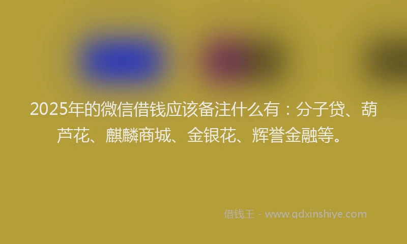 2025年的微信借钱应该备注什么有：分子贷、葫芦花、麒麟商城、金银花、辉誉金融等。