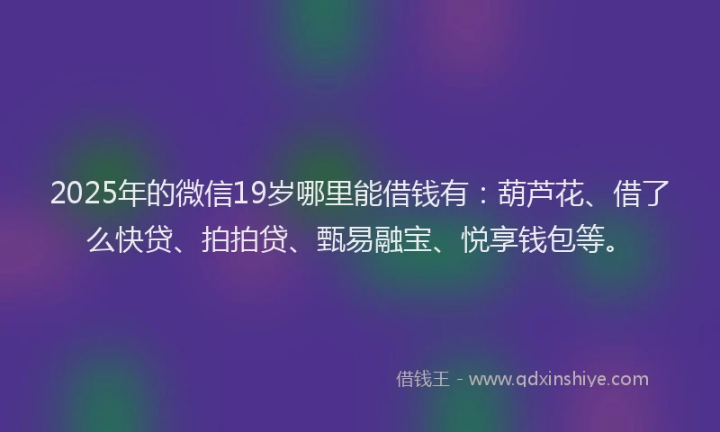 2025年的微信19岁哪里能借钱有：葫芦花、借了么快贷、拍拍贷、甄易融宝、悦享钱包等。