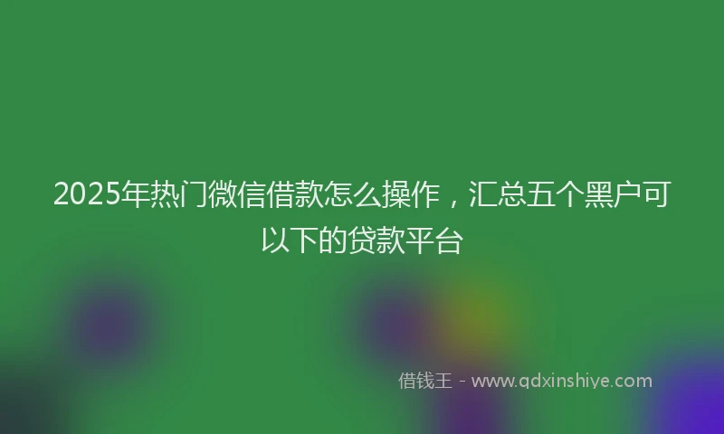 2025年热门微信借款怎么操作，汇总五个黑户可以下的贷款平台