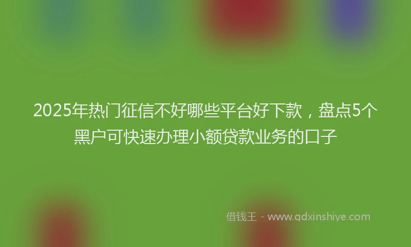 2025年热门征信不好哪些平台好下款，盘点5个黑户可快速办理小额贷款业务的口子