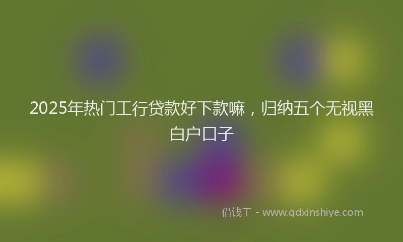 2025年热门工行贷款好下款嘛，归纳五个无视黑白户口子