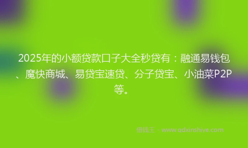 2025年的小额贷款口子大全秒贷有：融通易钱包、魔快商城、易贷宝速贷、分子贷宝、小油菜P2P等。