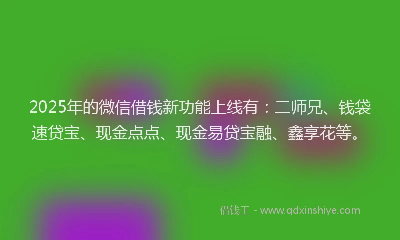 2025年的微信借钱新功能上线有：二师兄、钱袋速贷宝、现金点点、现金易贷宝融、鑫享花等。