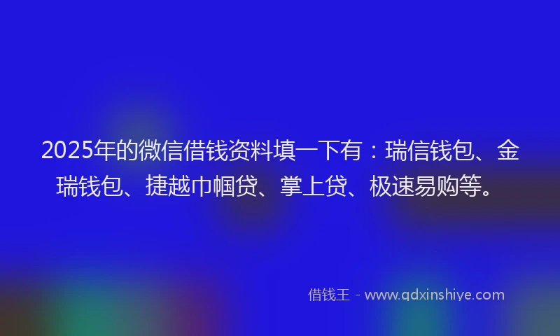 2025年的微信借钱资料填一下有：瑞信钱包、金瑞钱包、捷越巾帼贷、掌上贷、极速易购等。