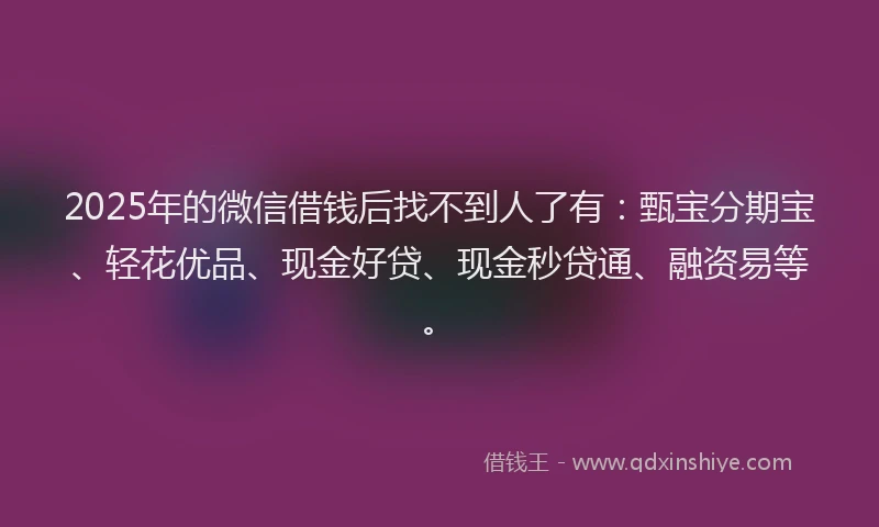 2025年的微信借钱后找不到人了有：甄宝分期宝、轻花优品、现金好贷、现金秒贷通、融资易等。