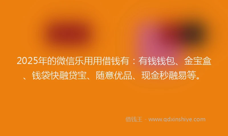 2025年的微信乐用用借钱有：有钱钱包、金宝盒、钱袋快融贷宝、随意优品、现金秒融易等。