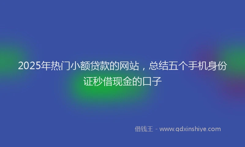 2025年热门小额贷款的网站，总结五个手机身份证秒借现金的口子