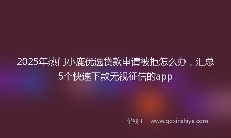 2025年热门小鹿优选贷款申请被拒怎么办，汇总5个快速下款无视征信的app