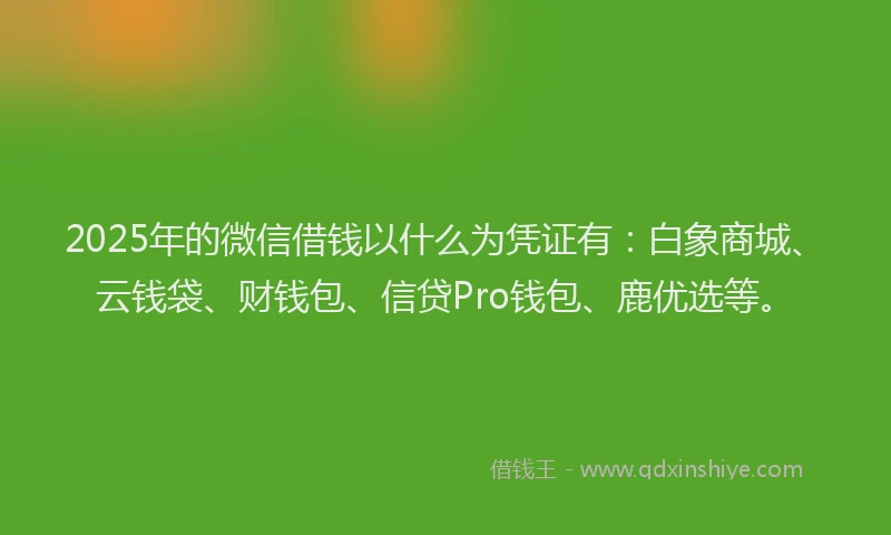 2025年的微信借钱以什么为凭证有：白象商城、云钱袋、财钱包、信贷Pro钱包、鹿优选等。