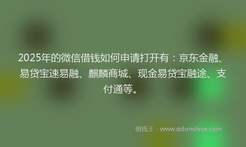 2025年的微信借钱如何申请打开有：京东金融、易贷宝速易融、麒麟商城、现金易贷宝融途、支付通等。