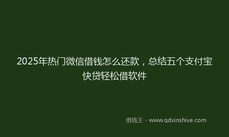 2025年热门微信借钱怎么还款，总结五个支付宝快贷轻松借软件
