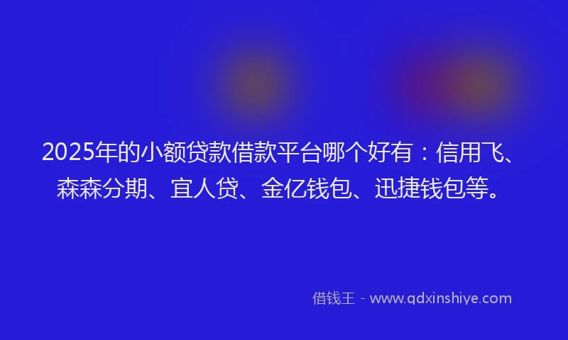 2025年的小额贷款借款平台哪个好有：信用飞、森森分期、宜人贷、金亿钱包、迅捷钱包等。