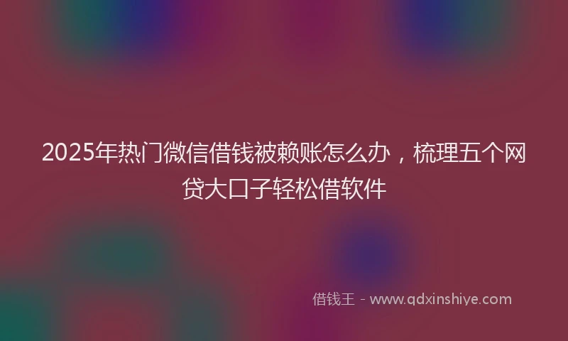 2025年热门微信借钱被赖账怎么办，梳理五个网贷大口子轻松借软件