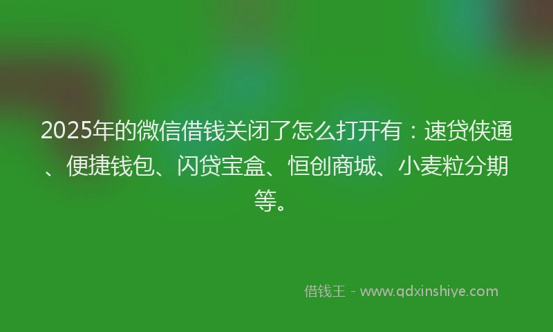 2025年的微信借钱关闭了怎么打开有：速贷侠通、便捷钱包、闪贷宝盒、恒创商城、小麦粒分期等。