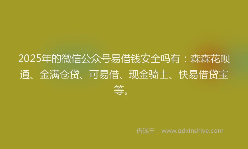 2025年的微信公众号易借钱安全吗有：森森花呗通、金满仓贷、可易借、现金骑士、快易借贷宝等。