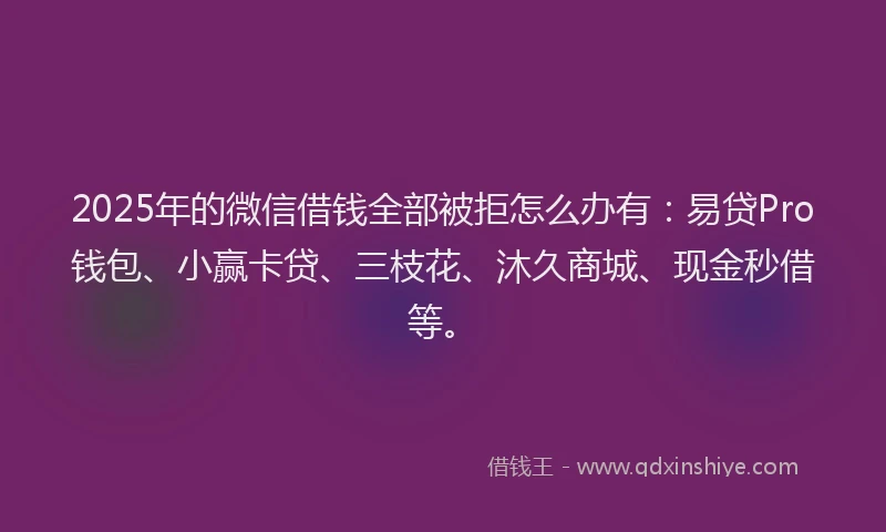2025年的微信借钱全部被拒怎么办有：易贷Pro钱包、小赢卡贷、三枝花、沐久商城、现金秒借等。