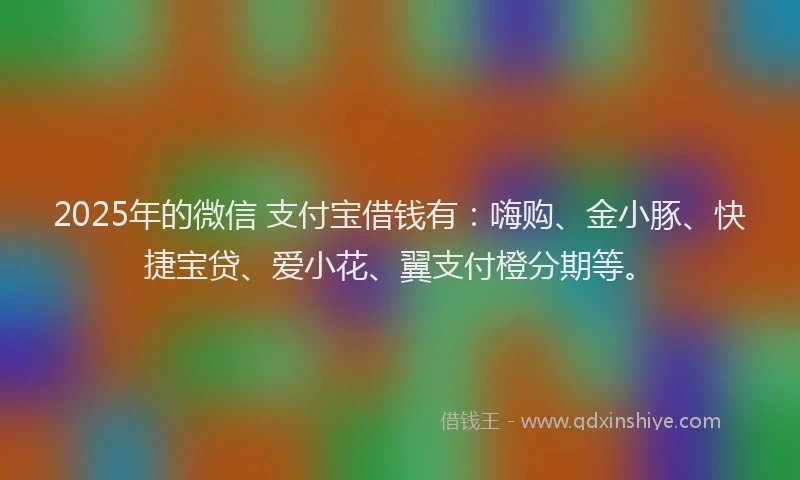 2025年的微信 支付宝借钱有：嗨购、金小豚、快捷宝贷、爱小花、翼支付橙分期等。