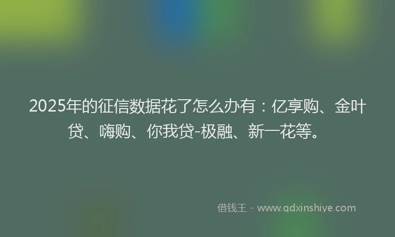2025年的征信数据花了怎么办有：亿享购、金叶贷、嗨购、你我贷-极融、新一花等。