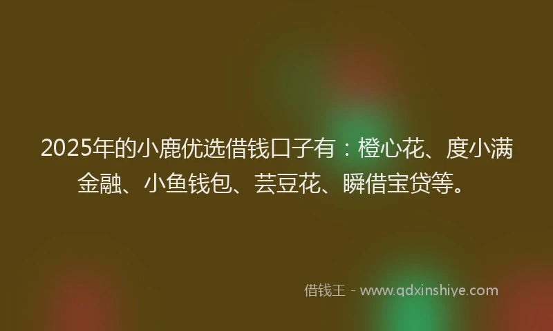 2025年的小鹿优选借钱口子有：橙心花、度小满金融、小鱼钱包、芸豆花、瞬借宝贷等。