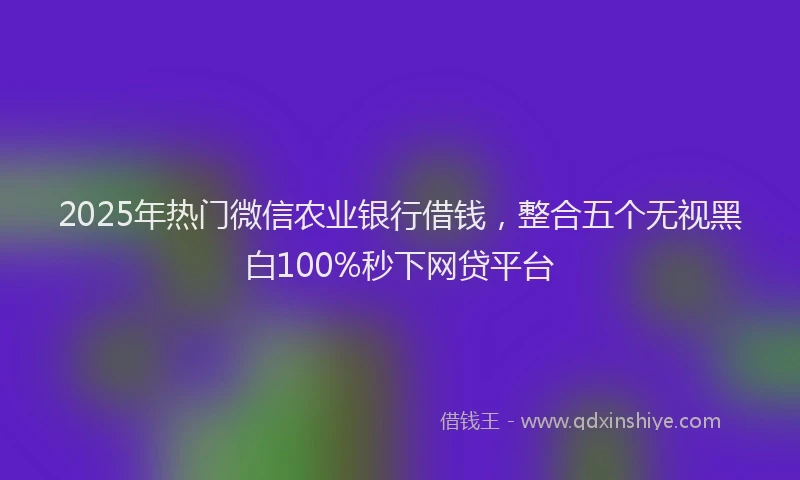 2025年热门微信农业银行借钱，整合五个无视黑白100%秒下网贷平台