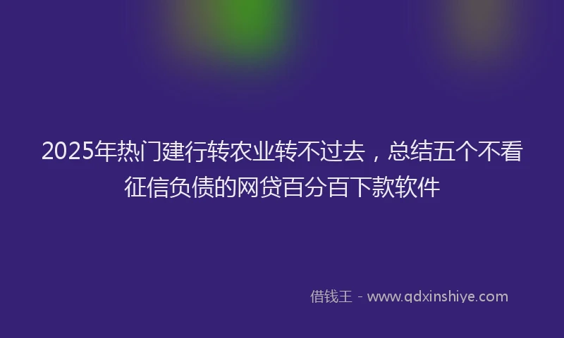 2025年热门建行转农业转不过去，总结五个不看征信负债的网贷百分百下款软件