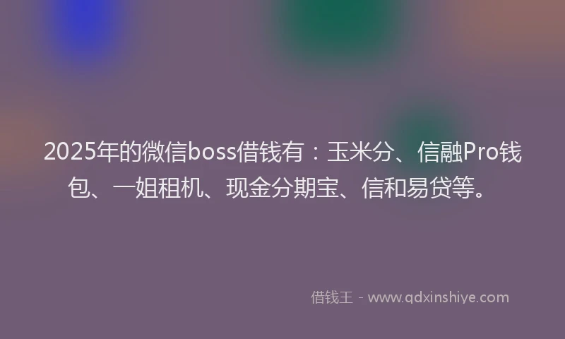 2025年的微信boss借钱有：玉米分、信融Pro钱包、一姐租机、现金分期宝、信和易贷等。