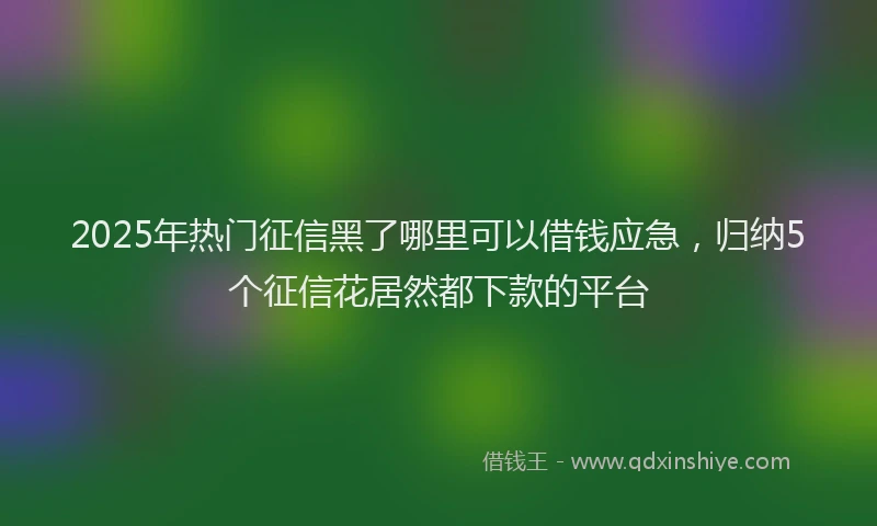 2025年热门征信黑了哪里可以借钱应急，归纳5个征信花居然都下款的平台