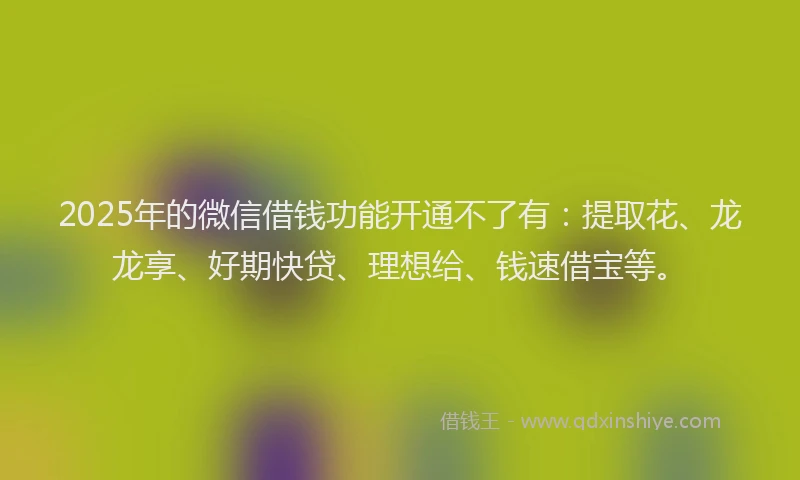 2025年的微信借钱功能开通不了有：提取花、龙龙享、好期快贷、理想给、钱速借宝等。