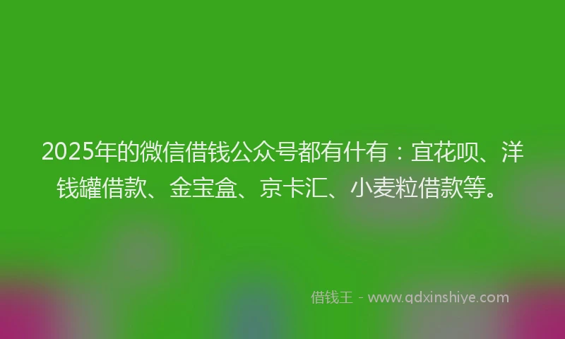 2025年的微信借钱公众号都有什有:宜花呗、洋钱罐借款、金宝盒、京卡汇、小麦粒借款等。