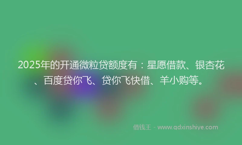 2025年的开通微粒贷额度有：星愿借款、银杏花、百度贷你飞、贷你飞快借、羊小购等。