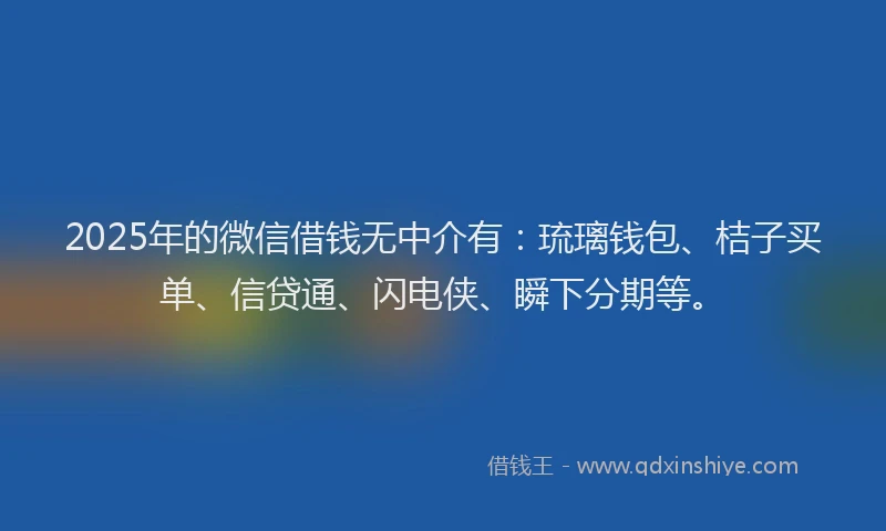 2025年的微信借钱无中介有：琉璃钱包、桔子买单、信贷通、闪电侠、瞬下分期等。