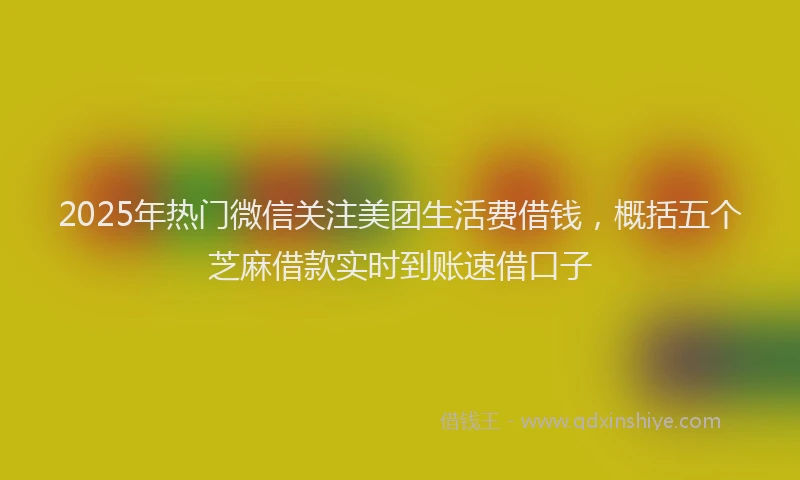 2025年热门微信关注美团生活费借钱，概括五个芝麻借款实时到账速借口子