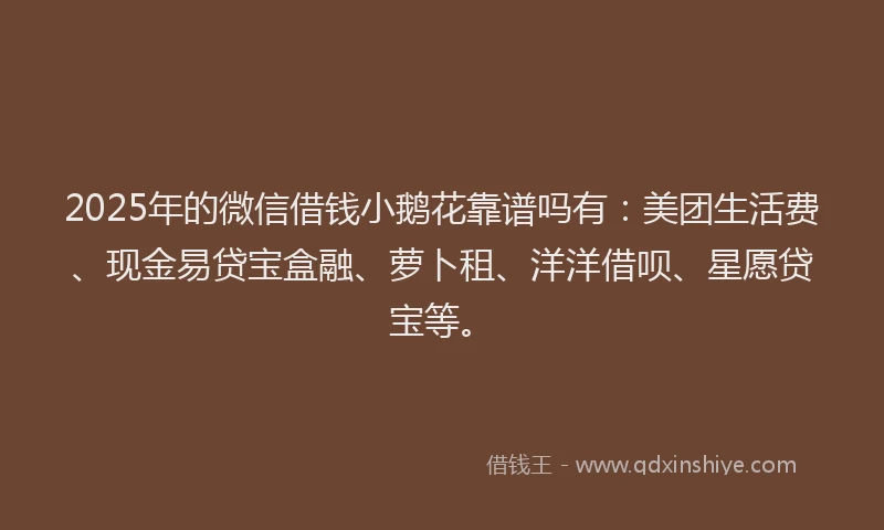 2025年的微信借钱小鹅花靠谱吗有：美团生活费、现金易贷宝盒融、萝卜租、洋洋借呗、星愿贷宝等。