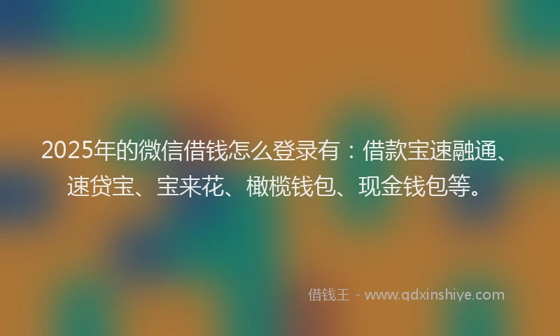2025年的微信借钱怎么登录有：借款宝速融通、速贷宝、宝来花、橄榄钱包、现金钱包等。
