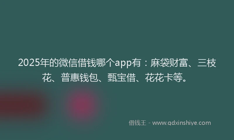 2025年的微信借钱哪个app有：麻袋财富、三枝花、普惠钱包、甄宝借、花花卡等。