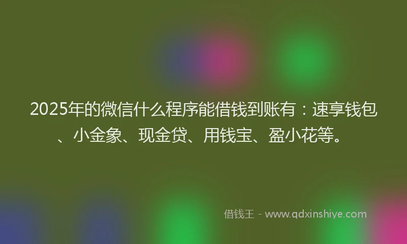 2025年的微信什么程序能借钱到账有：速享钱包、小金象、现金贷、用钱宝、盈小花等。