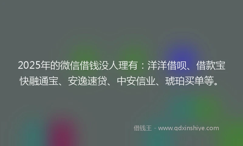 2025年的微信借钱没人理有：洋洋借呗、借款宝快融通宝、安逸速贷、中安信业、琥珀买单等。