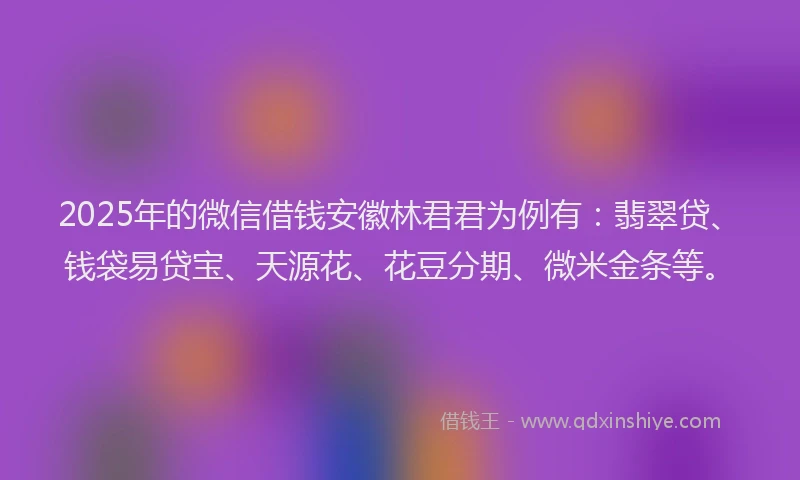 2025年的微信借钱安徽林君君为例有：翡翠贷、钱袋易贷宝、天源花、花豆分期、微米金条等。