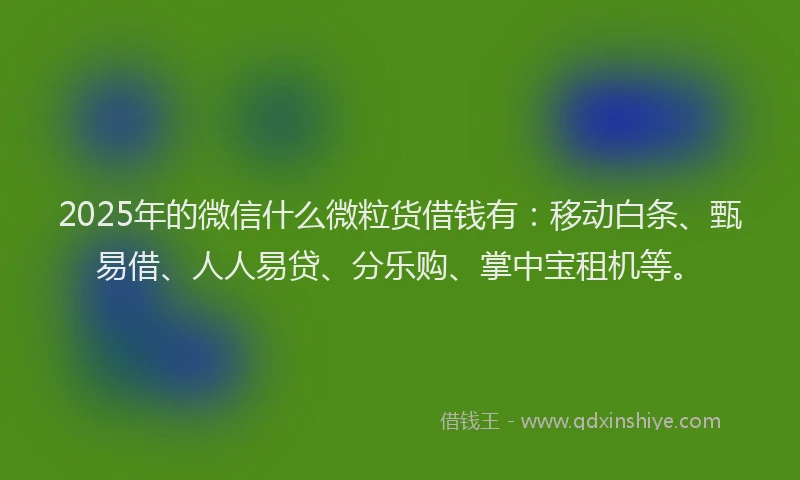 2025年的微信什么微粒货借钱有：移动白条、甄易借、人人易贷、分乐购、掌中宝租机等。