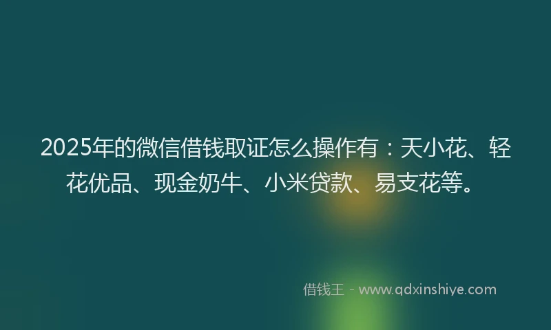 2025年的微信借钱取证怎么操作有：天小花、轻花优品、现金奶牛、小米贷款、易支花等。