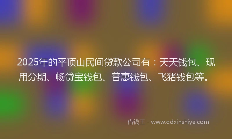2025年的平顶山民间贷款公司有：天天钱包、现用分期、畅贷宝钱包、普惠钱包、飞猪钱包等。
