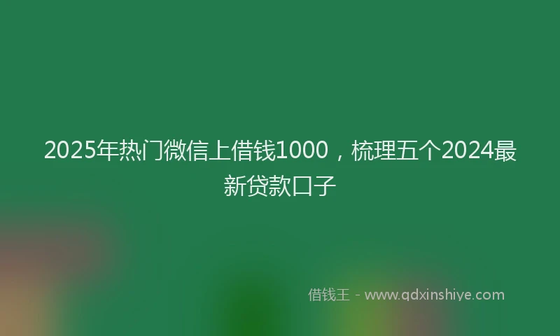 2025年热门微信上借钱1000，梳理五个2024最新贷款口子